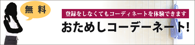 今すぐおためしコーディネートをしてみる