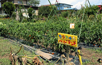 やってみなけりゃ｢失敗｣すらできない